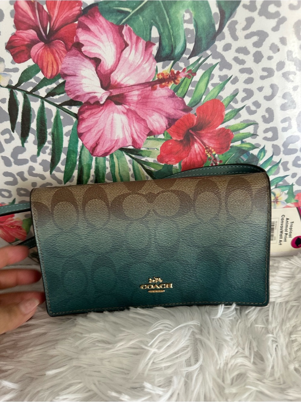 Coach Ombre Signature Crossbody in Teal and Brown